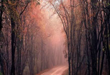 [高尔夫]中国排名：李昊桐再上升一位 吴阿顺小幅上升.