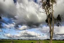 欧博官网：[图]德甲-凯恩破门格雷茨卡传射 拜仁3-1美因茨.