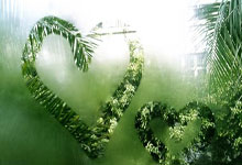 安洗莹战胜陈雨菲 勇夺法国奥尔良羽毛球大师赛女单冠军.