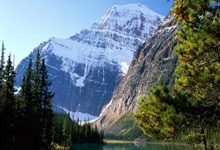 欧博官网：cba 深圳市 深圳男篮.