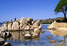 欧博官网：TA深度：法国足球界的教练荒，谁会是下一个温格德尚齐祖？.